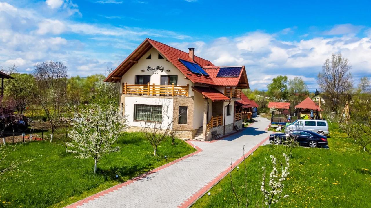 Casa Nely Otel Sighetu Marmaţiei Dış mekan fotoğraf