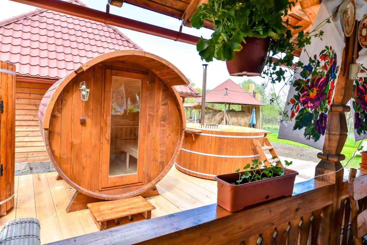 Casa Nely Otel Sighetu Marmaţiei Dış mekan fotoğraf