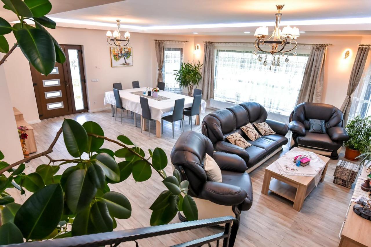 Casa Nely Otel Sighetu Marmaţiei Dış mekan fotoğraf