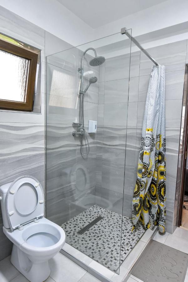 Casa Nely Otel Sighetu Marmaţiei Dış mekan fotoğraf